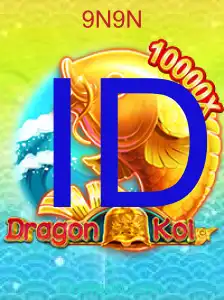 DragonKoi